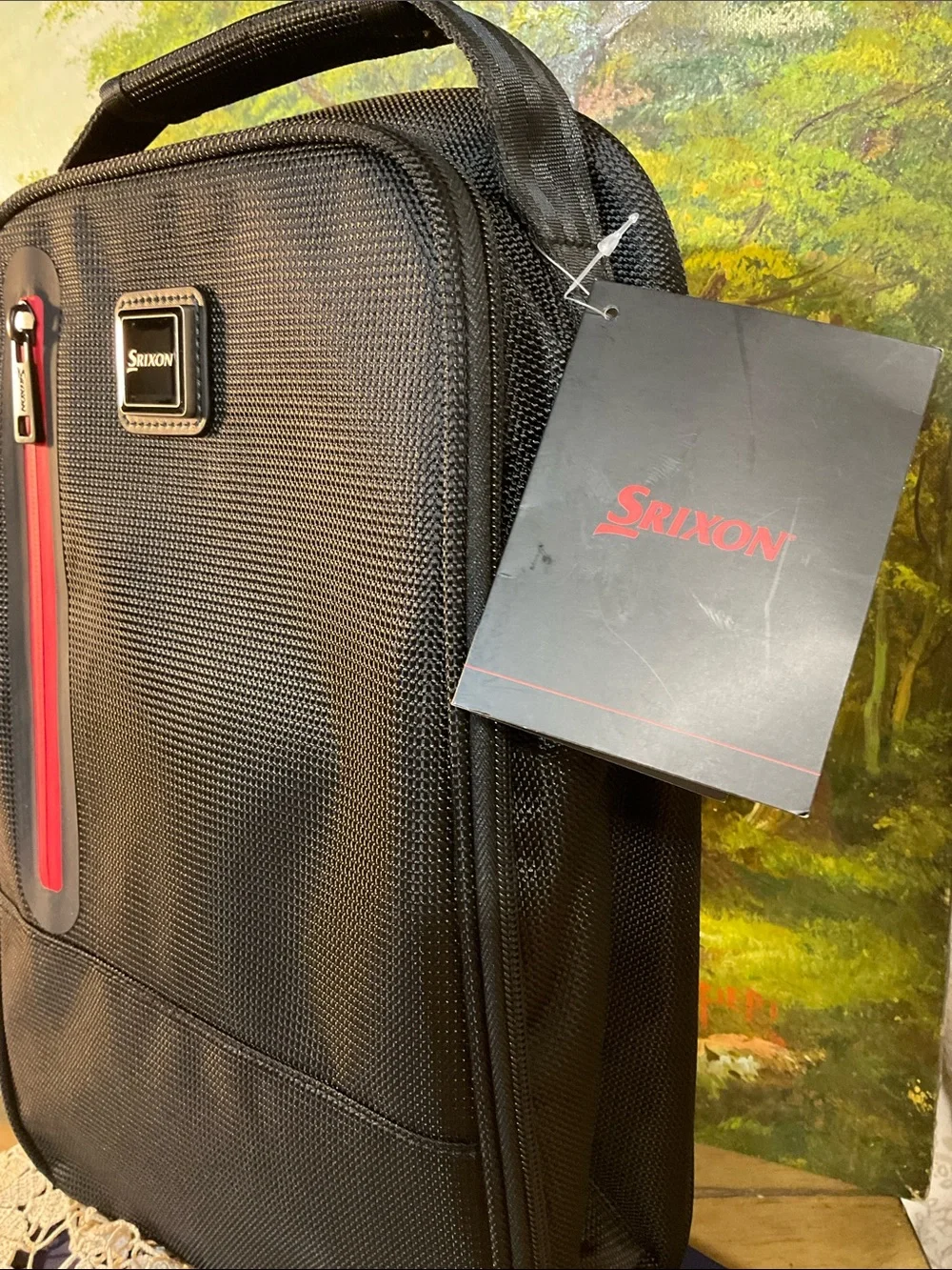 Srixon Black Men’s Shoe Bag with Red Zip Accent